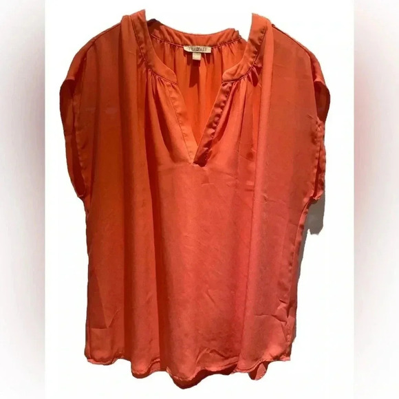 Roz & Ali Tops - Roz & Ali Coral V Neck Women's Pleated Short Sleeve Plus Size 2X Top Lightweight